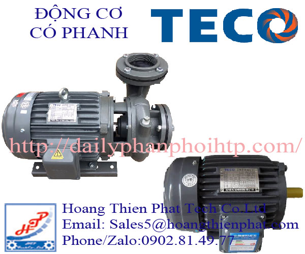dong-co-co-phanh-teco