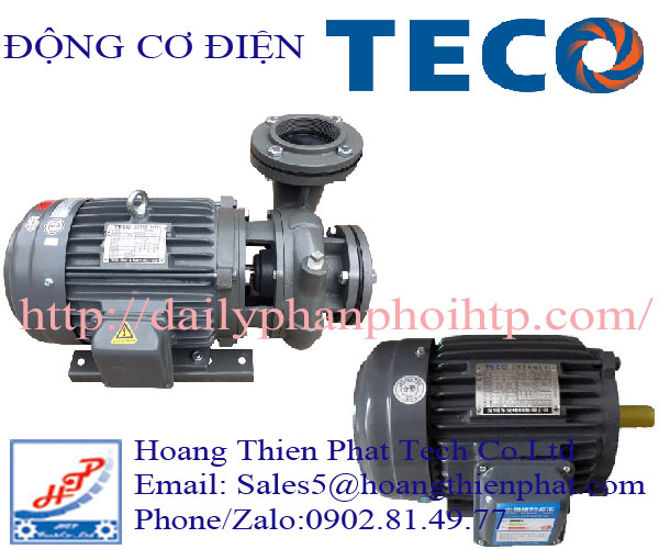 dong-co-dien-teco