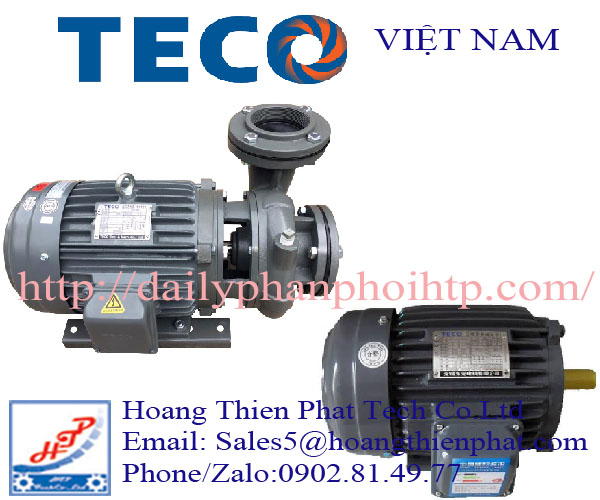 teco-viet-nam